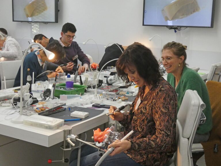 formation dentaire esthétique aix en provence facettes TP travaux pratiques