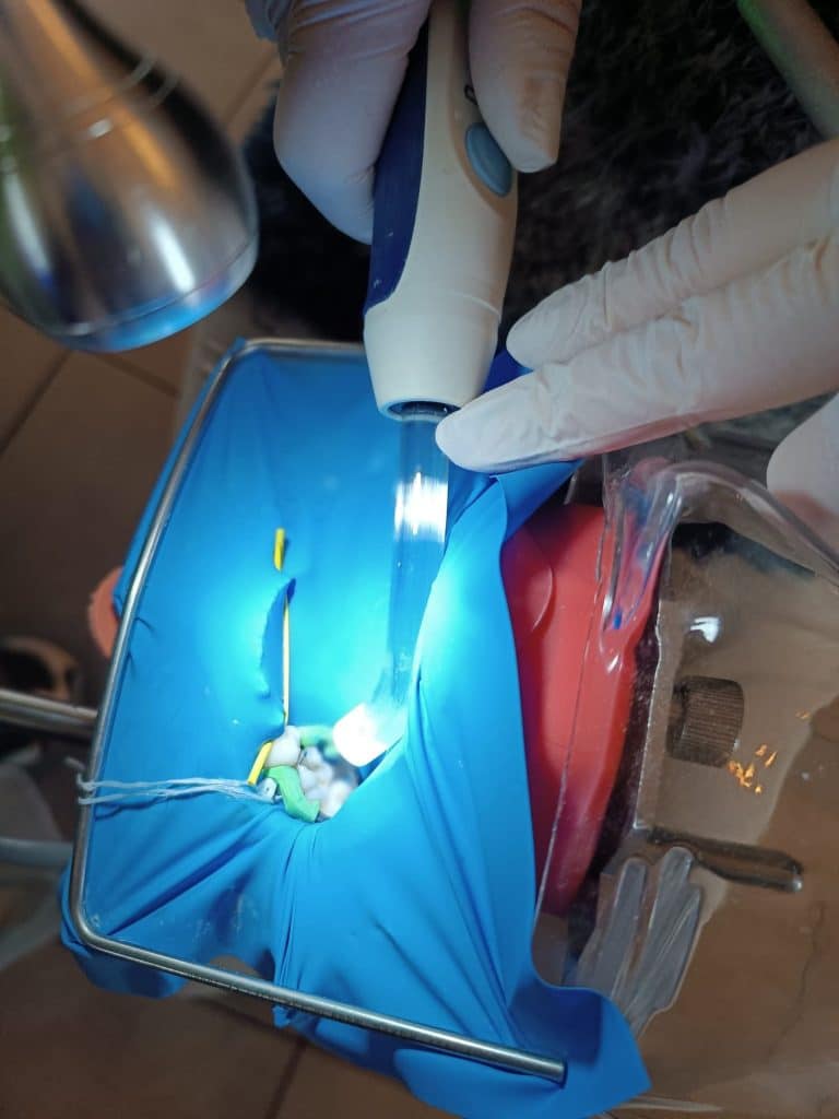 formation dentaire TP travaux pratiques académie du sourire nomade