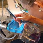 formation dentaire TP travaux pratiques académie du sourire nomade