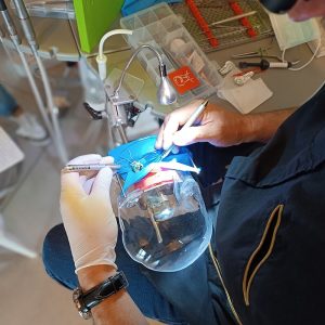 formation dentaire academie du sourire
