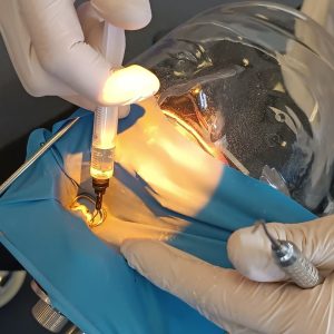 547017811_1358083192987580_8737660424711824333_n