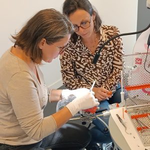 547851274_1358083206320912_2024878602224841850_n