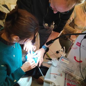 585291746_1422218669907365_7604333240451390709_n