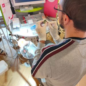 586484781_1423960653066500_8736561488390591014_n